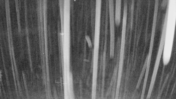 Snímek    29.10.2025 v 02:50