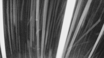 Snímek    29.10.2025 v 02:55