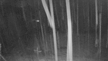 Snímek    29.10.2025 v 04:00