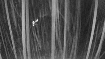 Snímek    29.10.2025 v 04:35