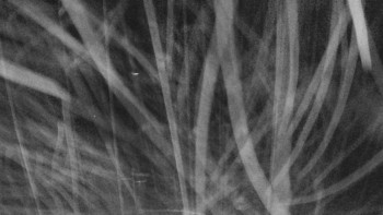 Snímek    3.11.2025 v 02:05