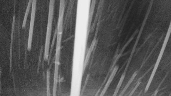 Snímek    3.11.2025 v 02:30