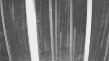 Snímek    3.11.2025 v 02:40