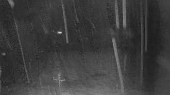 Snímek    3.11.2025 v 03:30