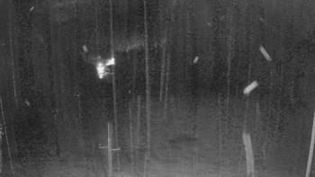 Snímek    3.11.2025 v 05:05