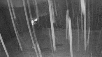 Snímek    3.11.2025 v 05:55