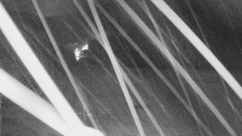 Snímek    3.11.2025 v 17:30