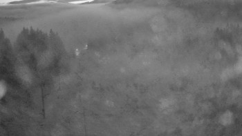 Snímek    4.11.2025 v 05:50