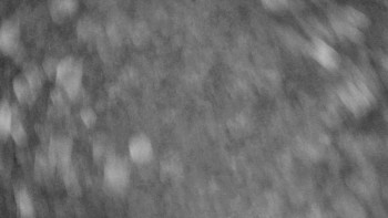 Snímek 5.11.2025 v 01:55