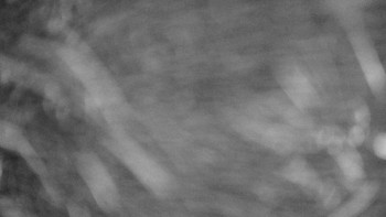 Snímek 5.11.2025 v 02:00