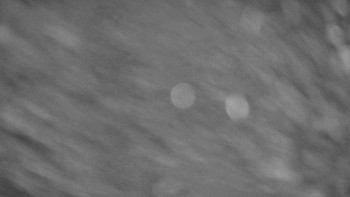 Snímek 5.11.2025 v 02:25