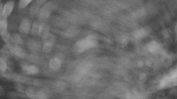 Snímek 5.11.2025 v 02:30