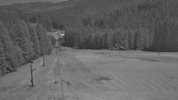 Snímek 6.11.2025 v 00:50