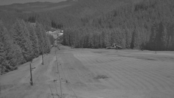 Snímek 6.11.2025 v 01:55