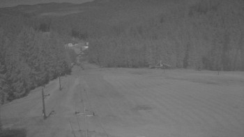 Snímek 6.11.2025 v 02:55