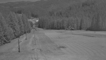 Snímek 7.11.2025 v 02:35