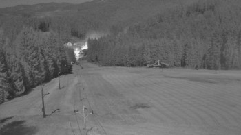 Snímek 7.11.2025 v 04:20