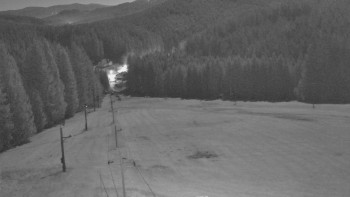 Snímek 7.11.2025 v 21:40