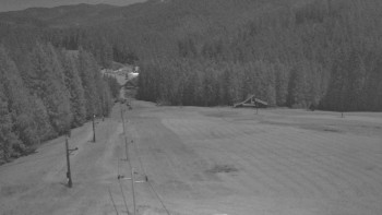 Snímek 8.11.2025 v 02:55