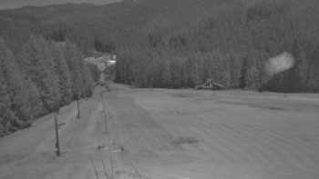 Snímek 8.11.2025 v 03:35