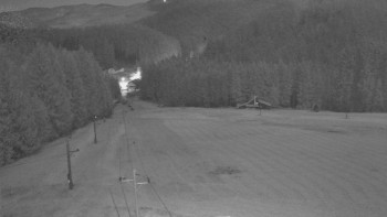 Snímek 8.11.2025 v 04:25