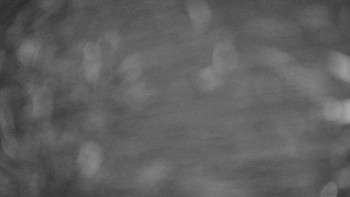 Snímek 15.11.2025 v 05:15