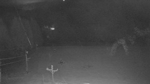 Skiareál Mezivodí - Ski Mezivodí - 18.11.2025 v 00:35 Skiareál Mezivodí - Ski Mezivodí - 18.11.2025 v 00:35