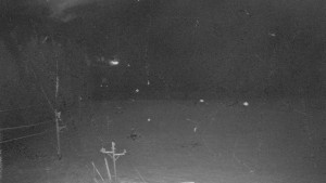 Skiareál Mezivodí - Ski Mezivodí - 18.11.2025 v 01:00 Skiareál Mezivodí - Ski Mezivodí - 18.11.2025 v 01:00