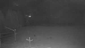 Skiareál Mezivodí - Ski Mezivodí - 18.11.2025 v 02:40 Skiareál Mezivodí - Ski Mezivodí - 18.11.2025 v 02:40