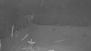 Skiareál Mezivodí - Ski Mezivodí - 1.1.2026 v 03:40 Skiareál Mezivodí - Ski Mezivodí - 1.1.2026 v 03:40