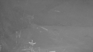 Skiareál Mezivodí - Ski Mezivodí - 1.1.2026 v 03:45 Skiareál Mezivodí - Ski Mezivodí - 1.1.2026 v 03:45