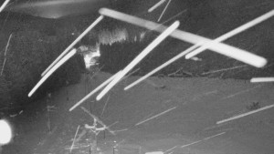 Skiareál Mezivodí - Ski Mezivodí - 1.1.2026 v 06:30 Skiareál Mezivodí - Ski Mezivodí - 1.1.2026 v 06:30