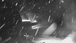 Skiareál Mezivodí - Ski Mezivodí - 11.1.2026 v 02:00 Skiareál Mezivodí - Ski Mezivodí - 11.1.2026 v 02:00