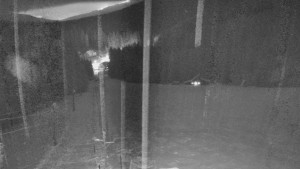 Skiareál Mezivodí - Ski Mezivodí - 21.2.2026 v 20:00 Skiareál Mezivodí - Ski Mezivodí - 21.2.2026 v 20:00