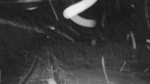 Skiareál Mezivodí - Ski Mezivodí - 23.2.2026 v 00:05 Skiareál Mezivodí - Ski Mezivodí - 23.2.2026 v 00:05