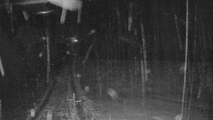 Skiareál Mezivodí - Ski Mezivodí - 23.2.2026 v 00:10 Skiareál Mezivodí - Ski Mezivodí - 23.2.2026 v 00:10