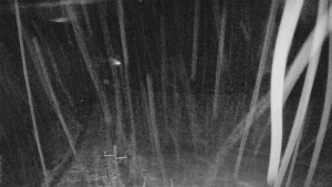 Skiareál Mezivodí - Ski Mezivodí - 23.2.2026 v 00:15 Skiareál Mezivodí - Ski Mezivodí - 23.2.2026 v 00:15