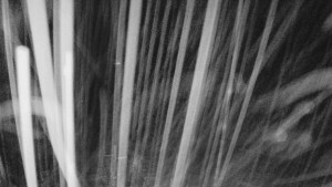 Skiareál Mezivodí - Ski Mezivodí - 23.2.2026 v 00:25 Skiareál Mezivodí - Ski Mezivodí - 23.2.2026 v 00:25