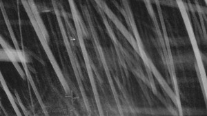 Skiareál Mezivodí - Ski Mezivodí - 23.2.2026 v 00:30 Skiareál Mezivodí - Ski Mezivodí - 23.2.2026 v 00:30