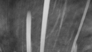 Skiareál Mezivodí - Ski Mezivodí - 23.2.2026 v 00:35 Skiareál Mezivodí - Ski Mezivodí - 23.2.2026 v 00:35