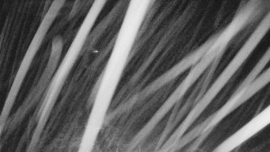 Skiareál Mezivodí - Ski Mezivodí - 23.2.2026 v 00:40 Skiareál Mezivodí - Ski Mezivodí - 23.2.2026 v 00:40