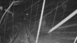 Skiareál Mezivodí - Ski Mezivodí - 23.2.2026 v 01:05 Skiareál Mezivodí - Ski Mezivodí - 23.2.2026 v 01:05