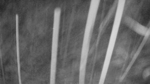 Skiareál Mezivodí - Ski Mezivodí - 23.2.2026 v 02:20 Skiareál Mezivodí - Ski Mezivodí - 23.2.2026 v 02:20