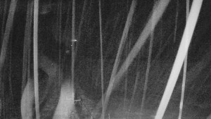 Skiareál Mezivodí - Ski Mezivodí - 23.2.2026 v 02:25 Skiareál Mezivodí - Ski Mezivodí - 23.2.2026 v 02:25