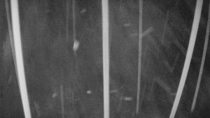 Skiareál Mezivodí - Ski Mezivodí - 23.2.2026 v 02:35 Skiareál Mezivodí - Ski Mezivodí - 23.2.2026 v 02:35