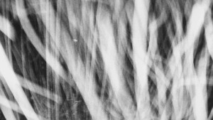 Skiareál Mezivodí - Ski Mezivodí - 23.2.2026 v 03:20 Skiareál Mezivodí - Ski Mezivodí - 23.2.2026 v 03:20