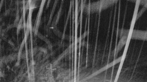 Skiareál Mezivodí - Ski Mezivodí - 23.2.2026 v 03:35 Skiareál Mezivodí - Ski Mezivodí - 23.2.2026 v 03:35