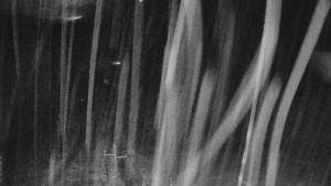 Skiareál Mezivodí - Ski Mezivodí - 23.2.2026 v 04:00 Skiareál Mezivodí - Ski Mezivodí - 23.2.2026 v 04:00