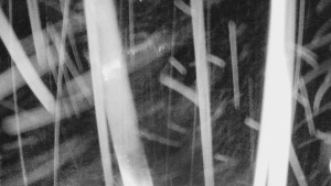 Skiareál Mezivodí - Ski Mezivodí - 23.2.2026 v 04:10 Skiareál Mezivodí - Ski Mezivodí - 23.2.2026 v 04:10