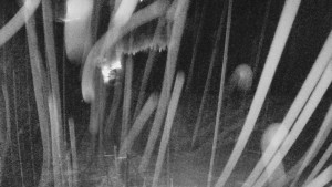 Skiareál Mezivodí - Ski Mezivodí - 23.2.2026 v 05:00 Skiareál Mezivodí - Ski Mezivodí - 23.2.2026 v 05:00